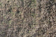 Fieldmann-FZV-2104-E-44