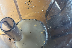 test-podlahovych-mycek-366