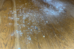 test-podlahovych-mycek-343