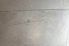 test-podlahovych-mycek-457