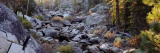 Nejlepší kapesní outdoorové nože do lesa a přírody