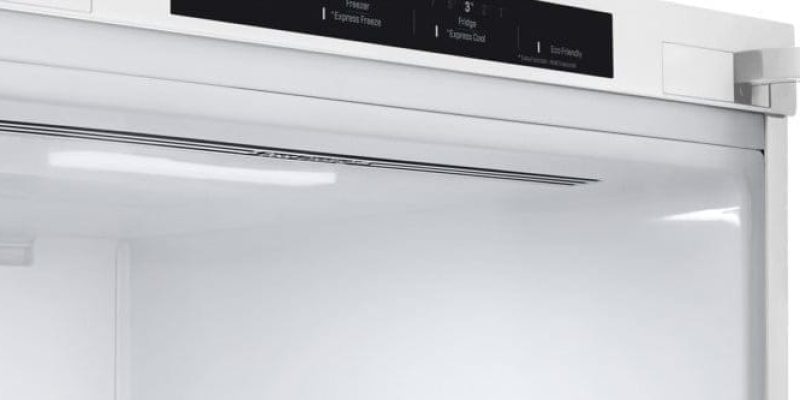 RECENZE Lednice LG GBB62SWGFN