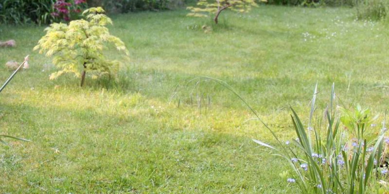 Jak vybrat odpuzovač zvířat – kun, psů, koček, ptáků, myší …