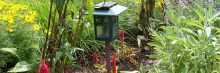 Jak vybrat zahradní lampu nebo zahradní osvětlení